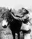 Vietnam: Vietnamese communist leader Ho Chi Minh (1890-1969) prepares to mount a pony during an offensive against the French, 1945